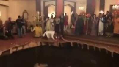 Since then, Issho doesn't get invites to parties.