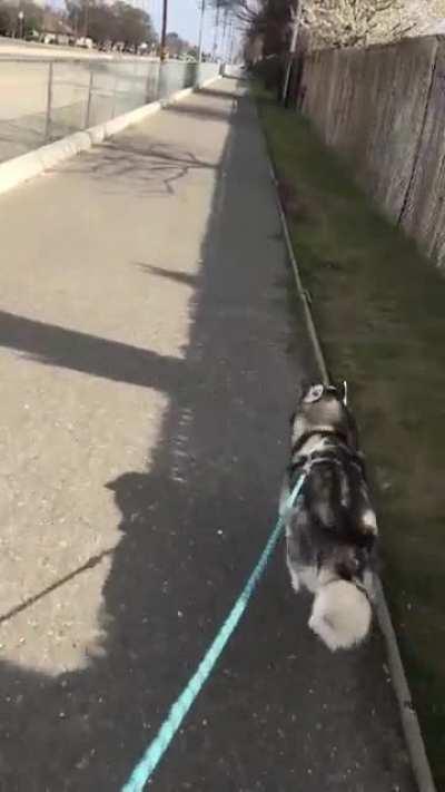 I've been recovering from a knee injury. I miss skating with my girl.