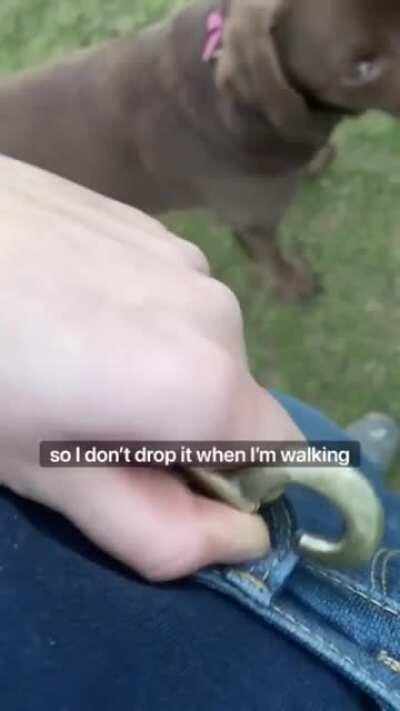 Taking your human out for a walk