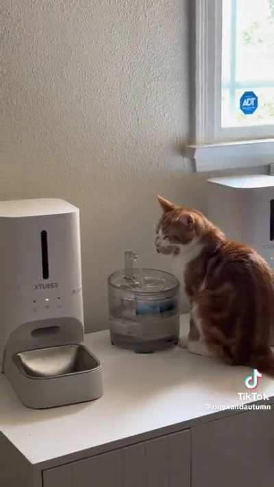 He gets an A for effort