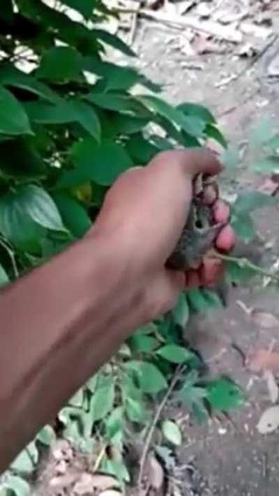 That’s a cool shAPED eg-AAHH