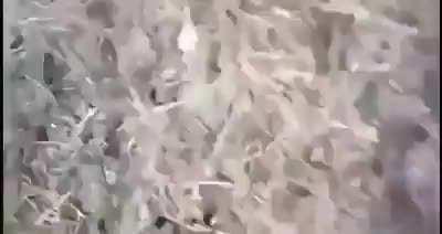 Training exercise goes wrong