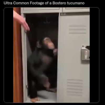 Todo el mundo tiene que tener un amigo tucumano bostero