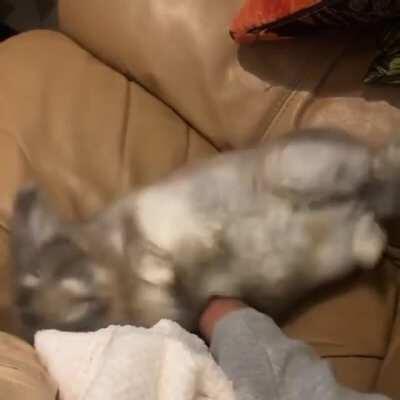 Hi, I’m just gonna...