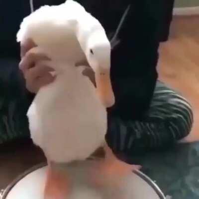 That drummer is pure fire