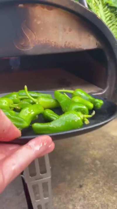 As individual components, these look great but once combined, I can't tell if it's stupid or not