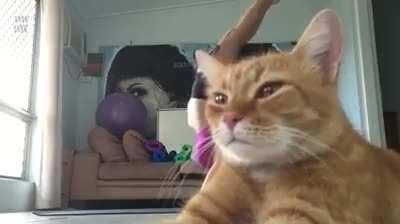 Ok enough show is over..