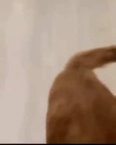 Pra mim tudo nesse gif é bom