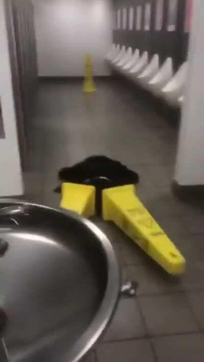 HMB while I try to walk in plastic stilts