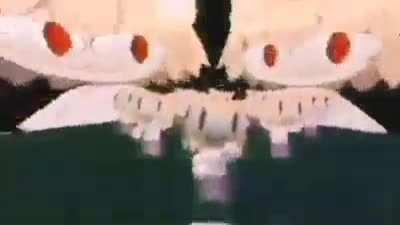 o bilbo tomou o lugar dos gatos😔