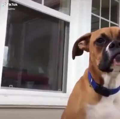 Yawn or minor demonic possession? The world may never know.