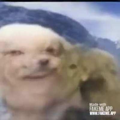 Pota-ta-ta-ta-ta-sio