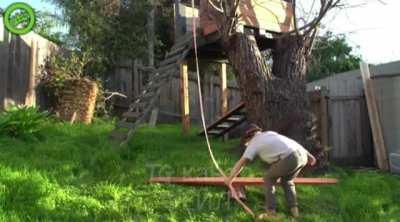 He out here tryna be the next Wile E. Coyote