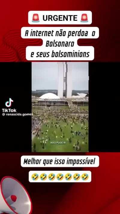 As aulas de história deveriam ser ensinadas assim 