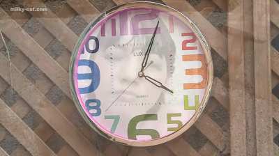 Rei Mizuna Spends All Day Covered in Cum