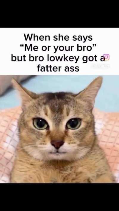 What if I really did it