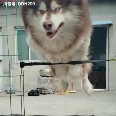 That reaction says it all