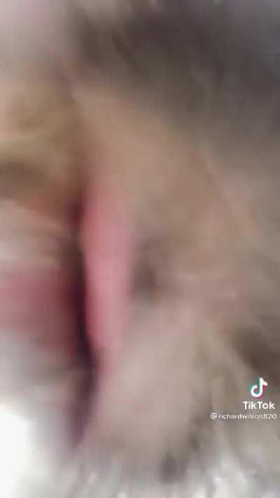 Caught me off guard. I choked on my water