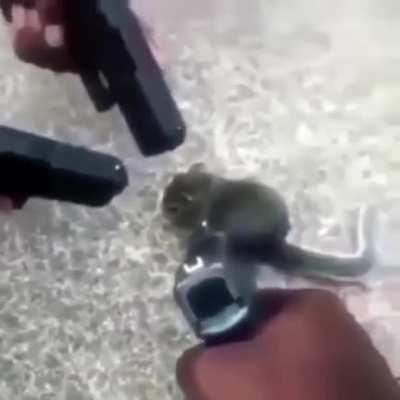 Cursed_interrogation