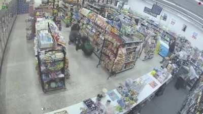 Thief vs Armed Robber