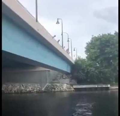 ... when I bungee jump off this bridge?