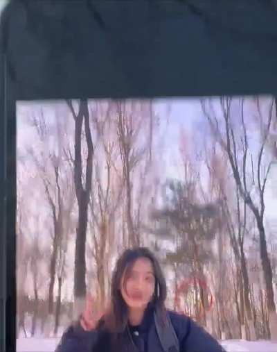 Taking pictures in the woods