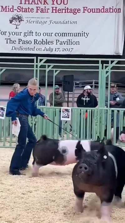 What in the redneck is this !??