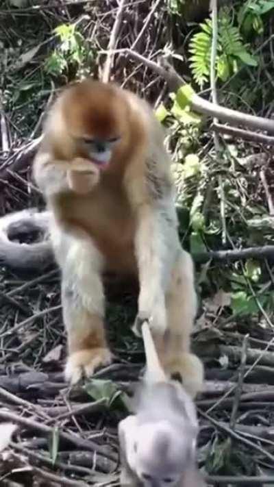 Mom just wants to sit and eat for a minute.
