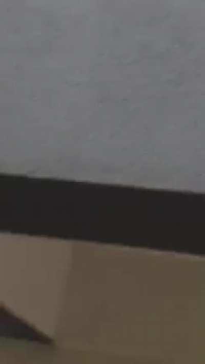 They communicate, but when they close they fight.