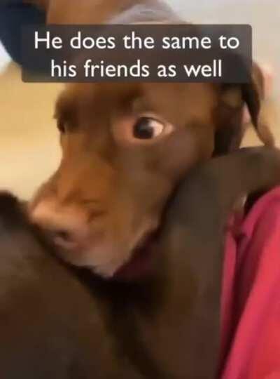 How this girl talks about her beloved dog.