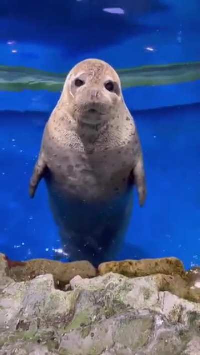 Me when I listen to my favorite beats