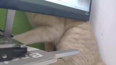 Why don't I feel the scratch?!