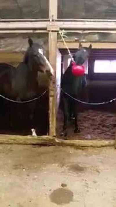 Getting real sick of your shit Frank