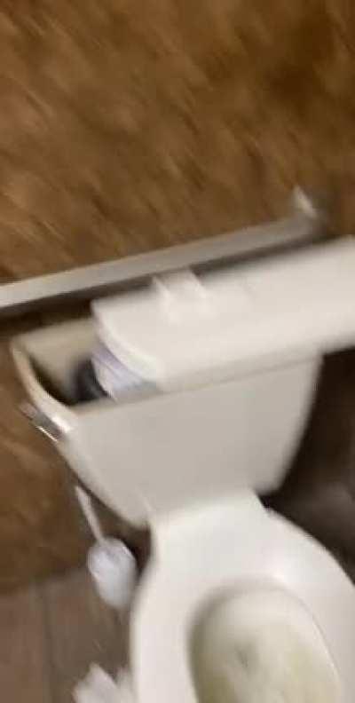 Saw poop was cool too