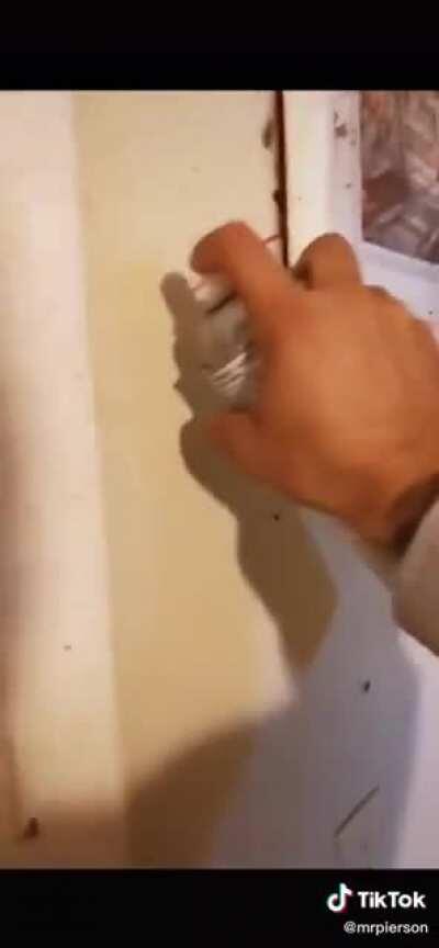 A little bit of actual cringe for you guys