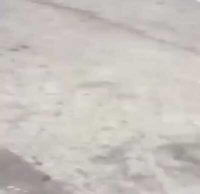 Edogg [O’Block/GBG] racing a girl in the O 😂.