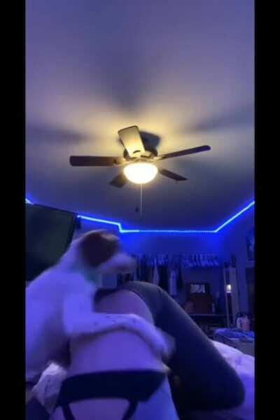 HMC, I can do it too.