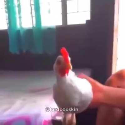 He do be vibing doe.