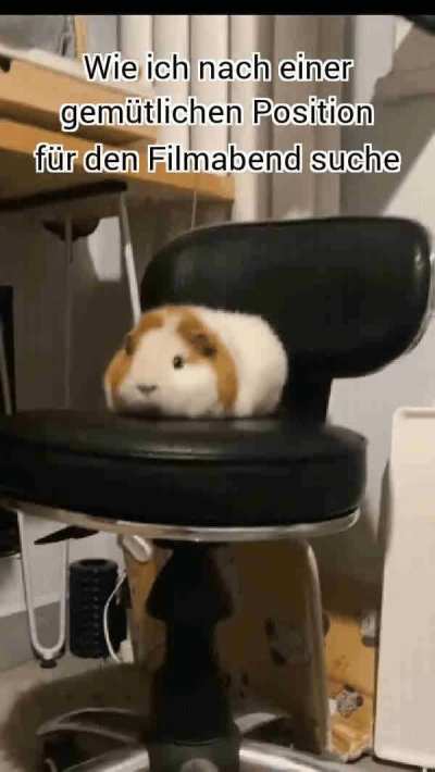 Es ist Filmabend meine Mümmler!