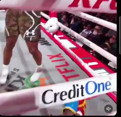 Challenging a two time heavyweight champion to a boxing match