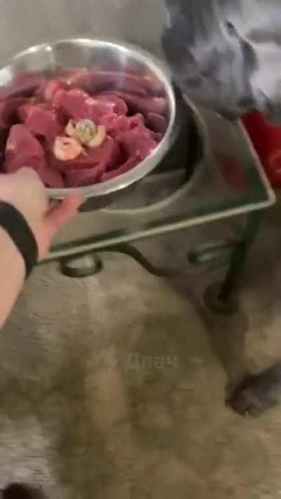 Нямка подъехала!