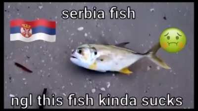 My friend´s grandparents are rumanian.