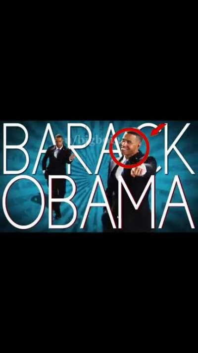 The Rogan Experience