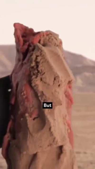 The title of this video was 