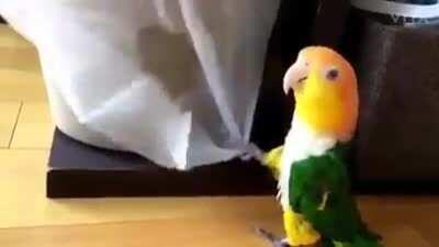 My upstairs neighbors