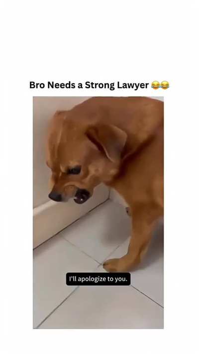 Better Call Doggy Saul