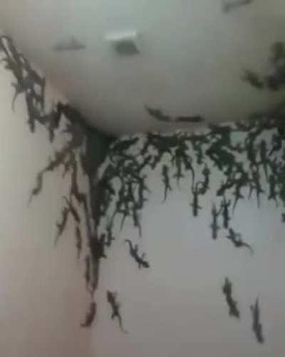 if i will be him, i am gonna die 😱😱