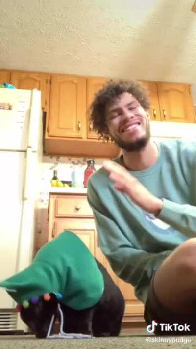 Catto is Christmas tree