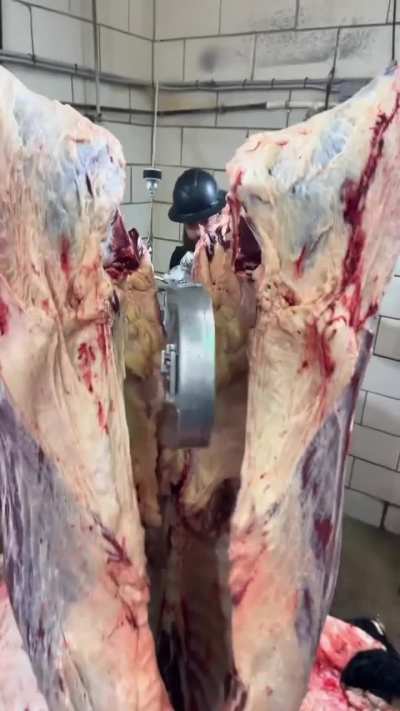 Carcass-splitting bandsaw