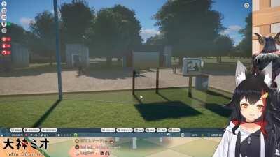 Mio howling in her zoo's wolf enclosure to attract visitors